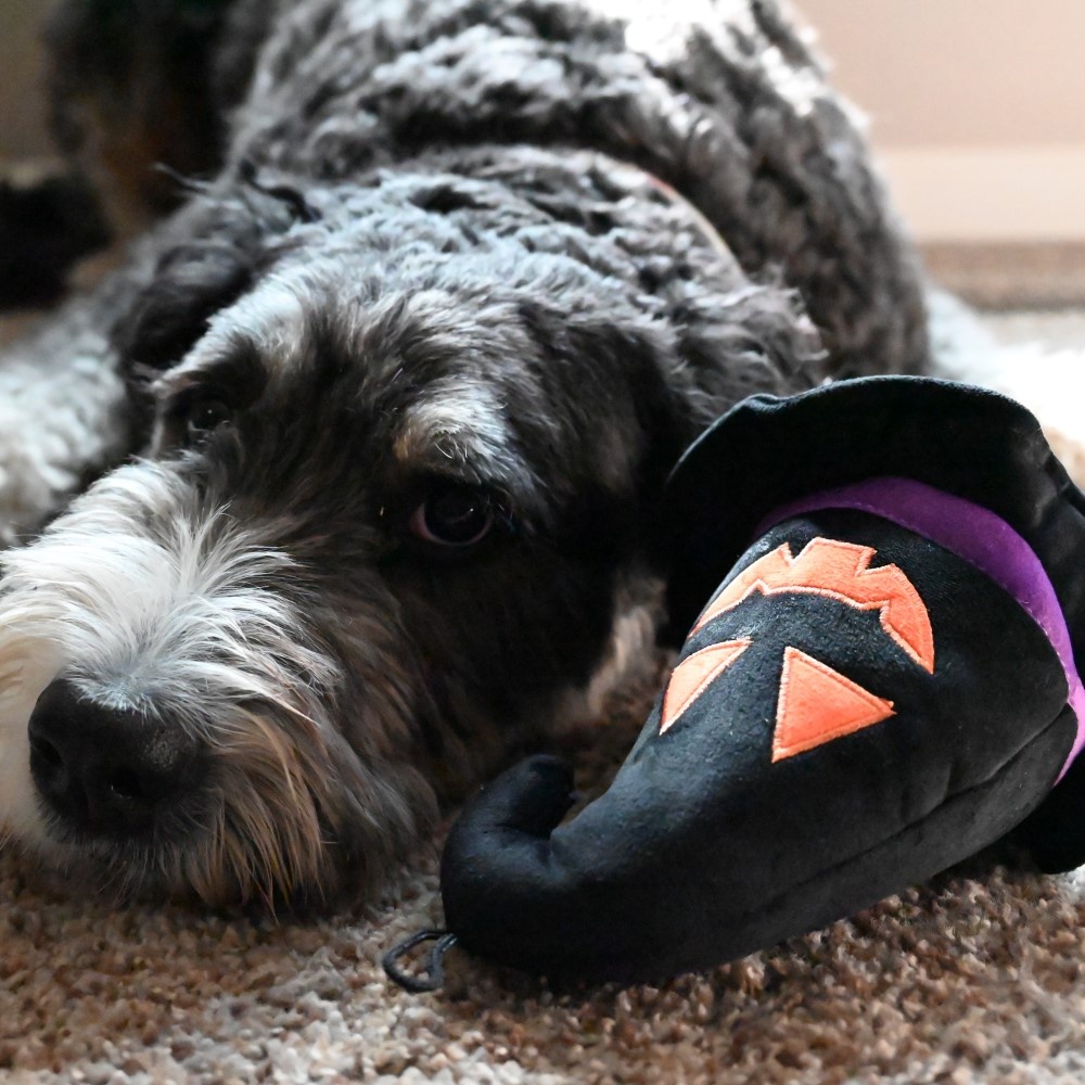 Huxley & Kent Witch Hat Dog Toy