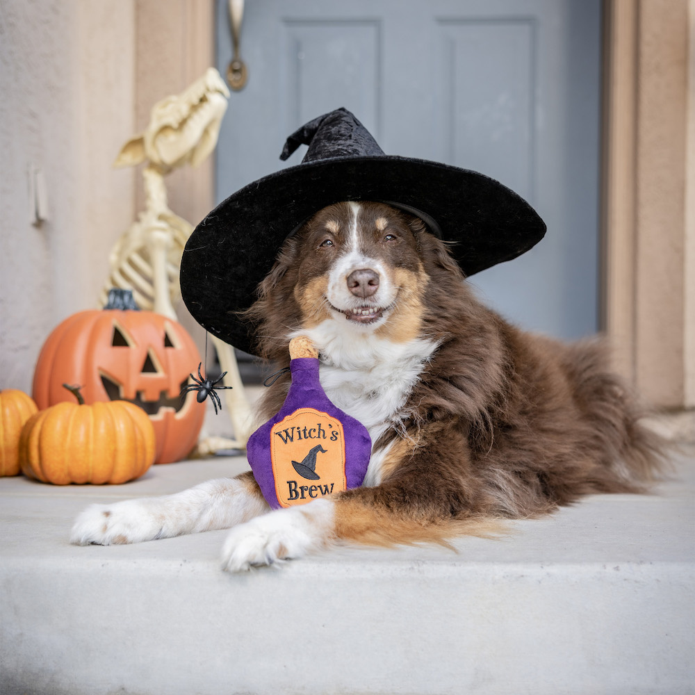 Huxley & Kent Witch's Brew Dog Toy