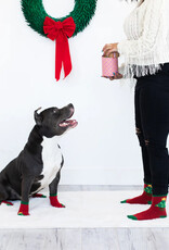 Pearhead Human and Dog Sock Set