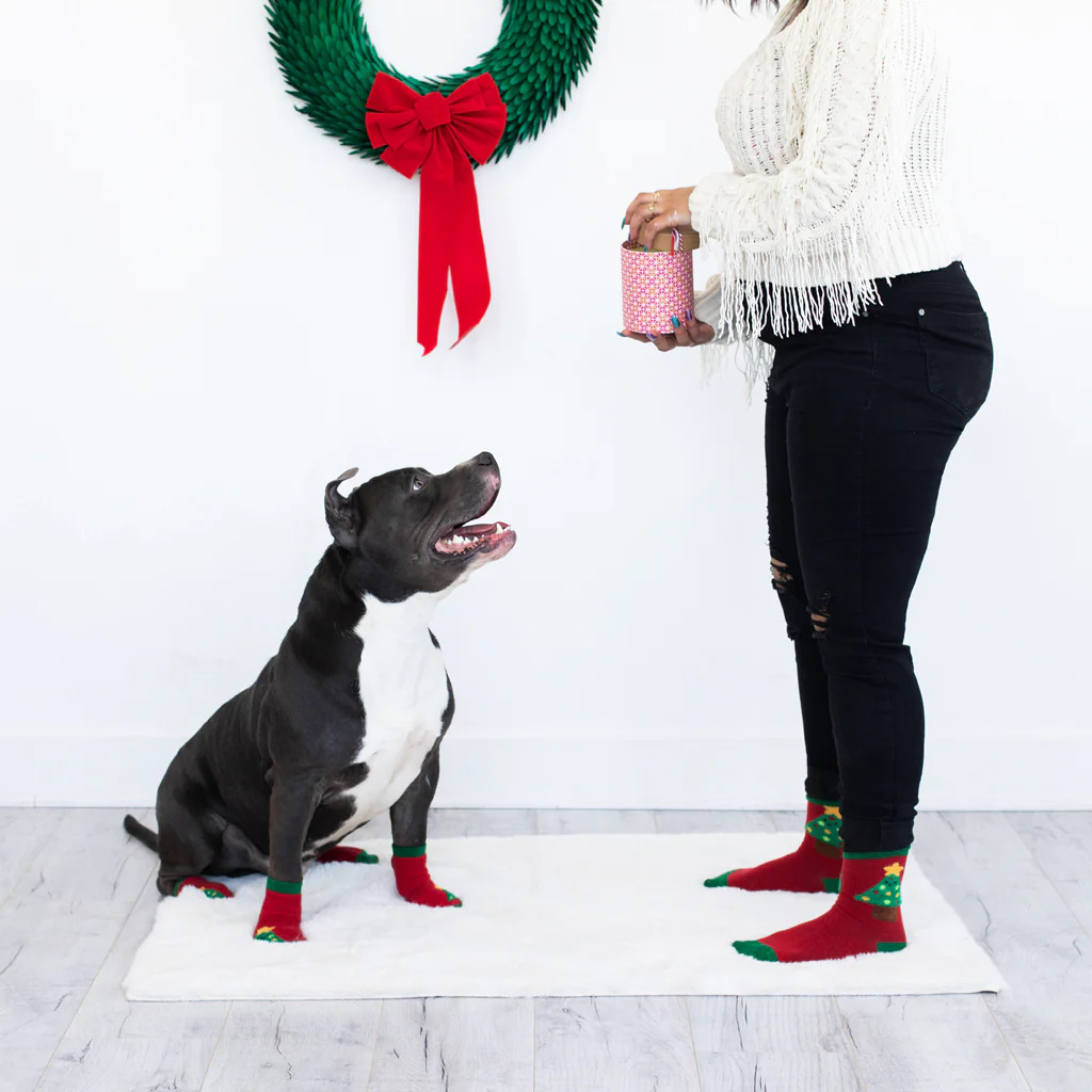Pearhead Human and Dog Sock Set