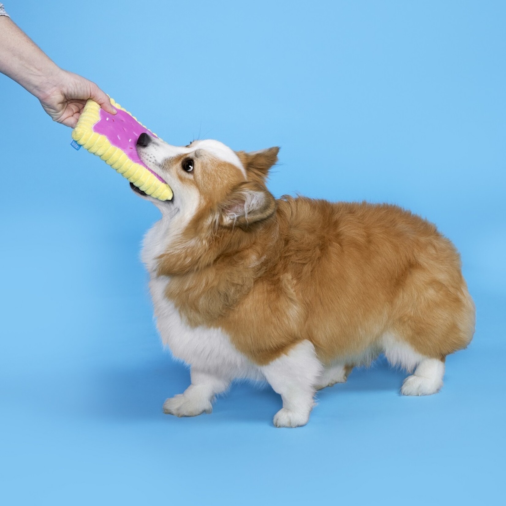 BARK Toaster Pastry Dog Toy