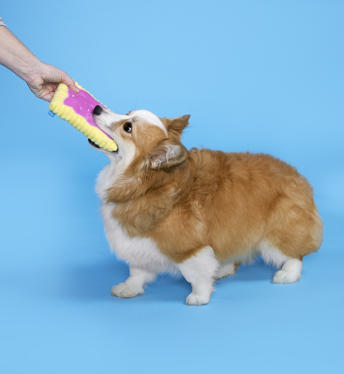 BARK Toaster Pastry Dog Toy