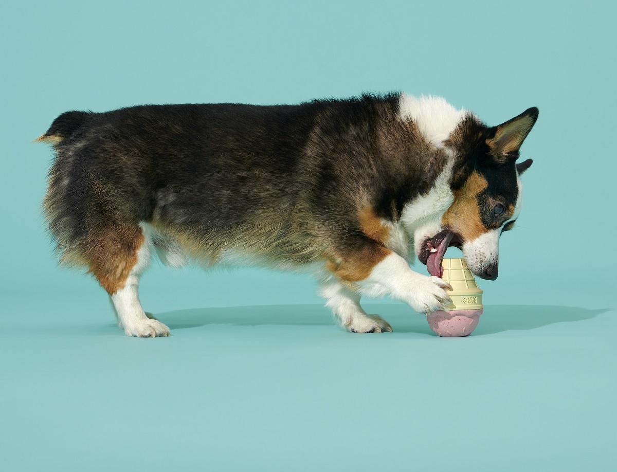 BARK Ice Cream Cone Chew Toy