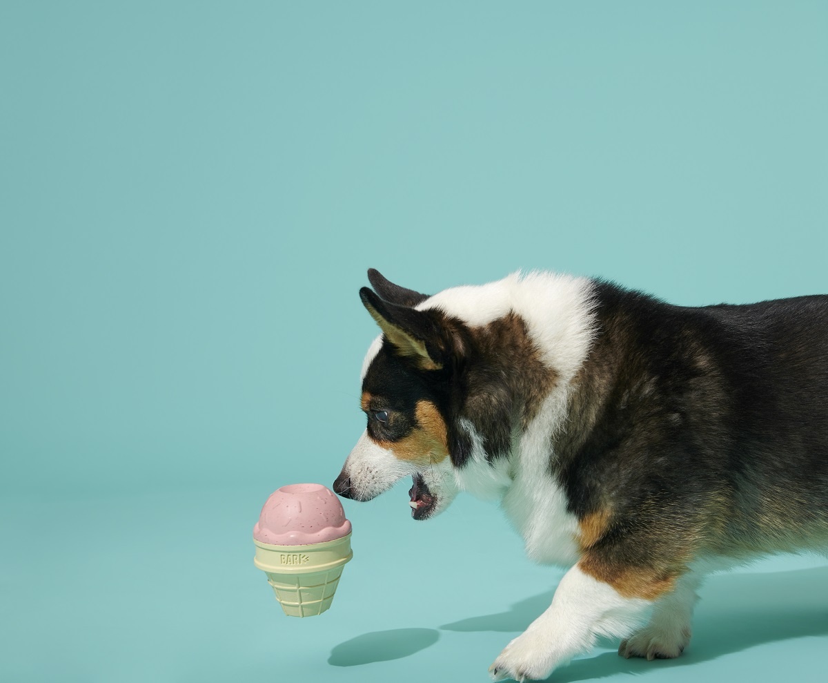 BARK Ice Cream Cone Chew Toy