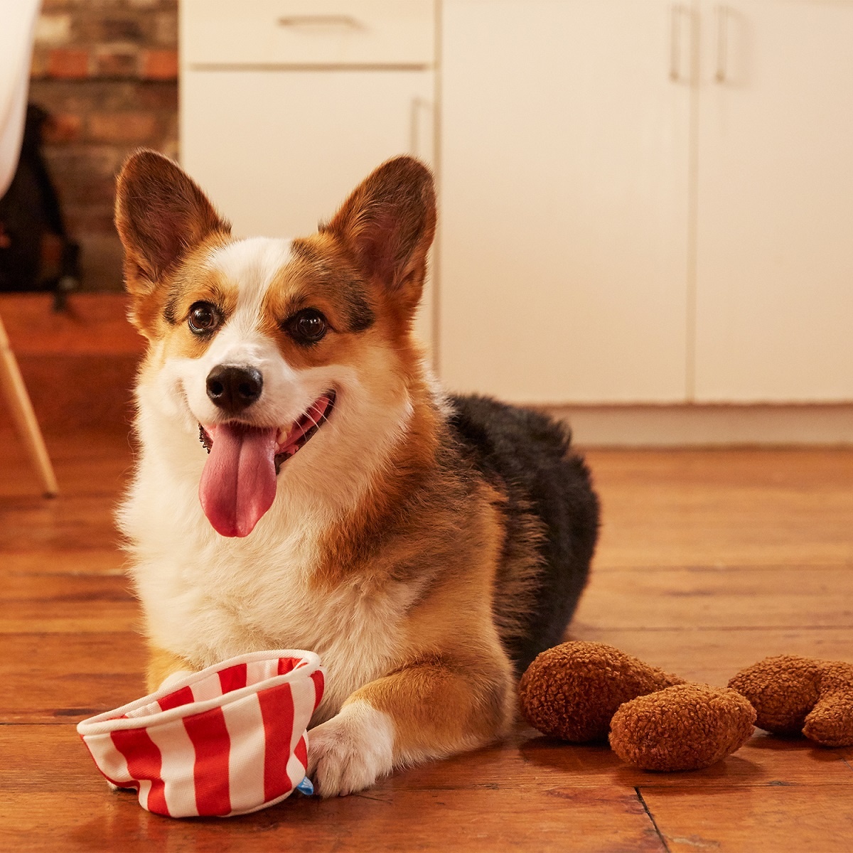 BARK Fried Chicken Dog Toy