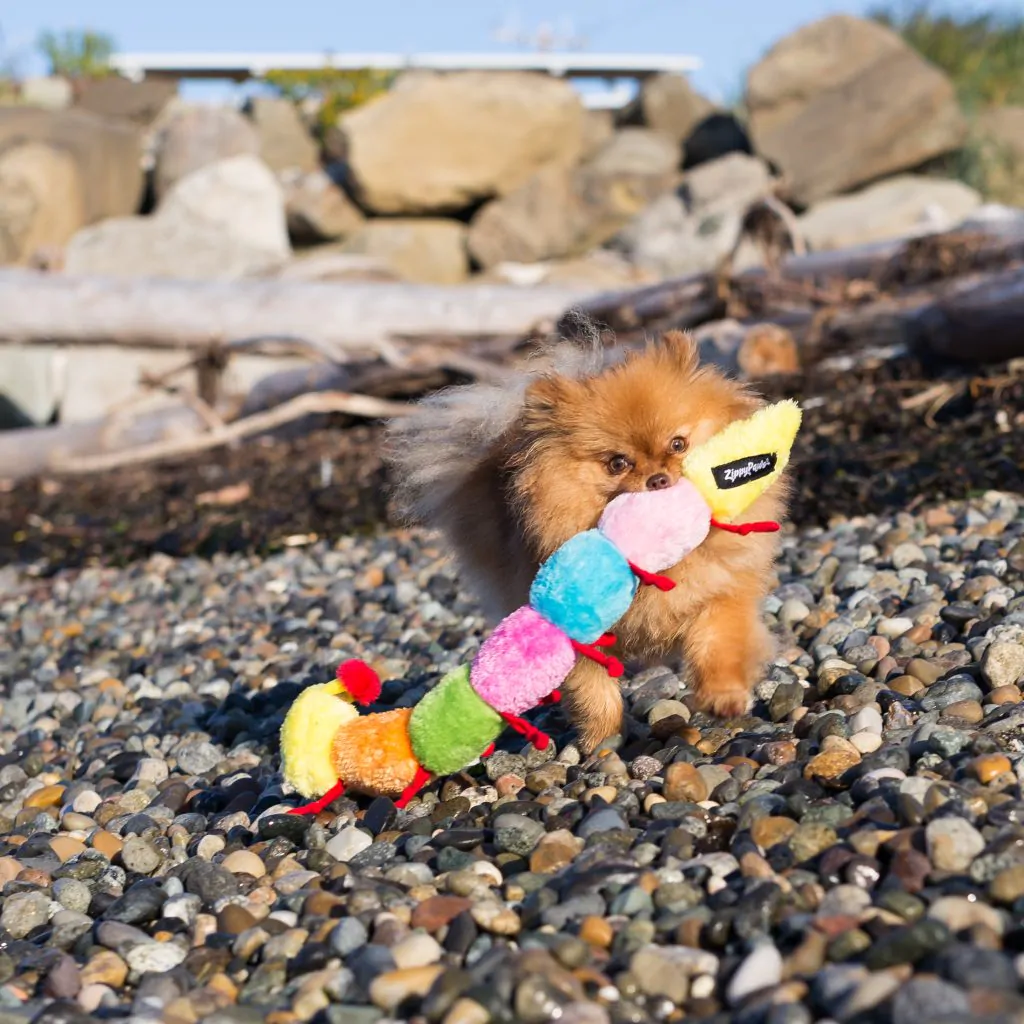 ZippyPaws Caterpillar Dog Toy