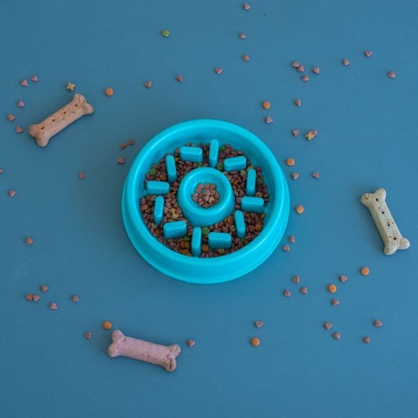 ZippyPaws Slow Feed Dog Bowl