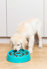 ZippyPaws Slow Feed Dog Bowl