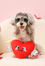 HugSmart Pet Heart & Arrow Dog Toy