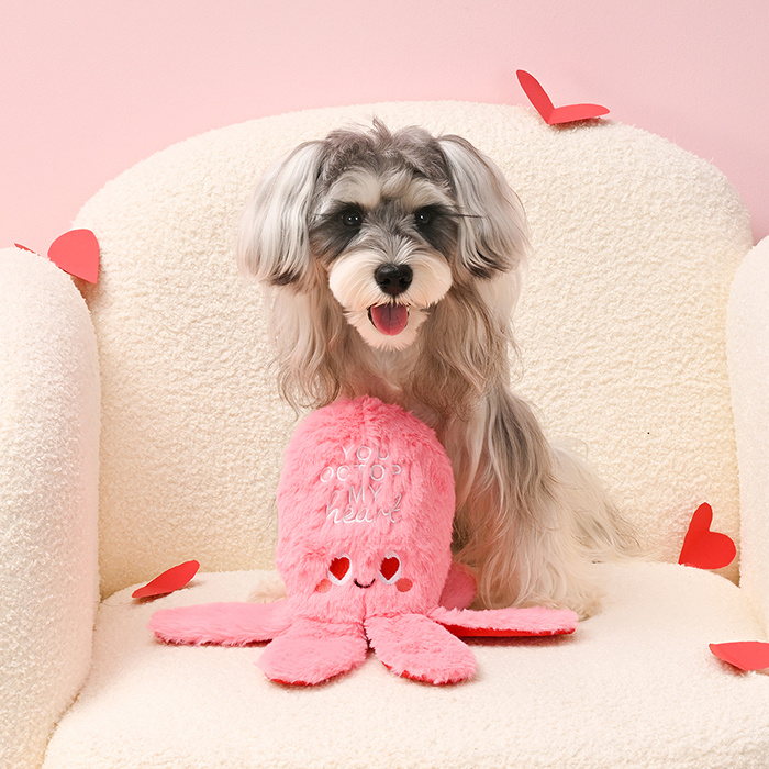 HugSmart Pet Valentine Octopus Dog Toy