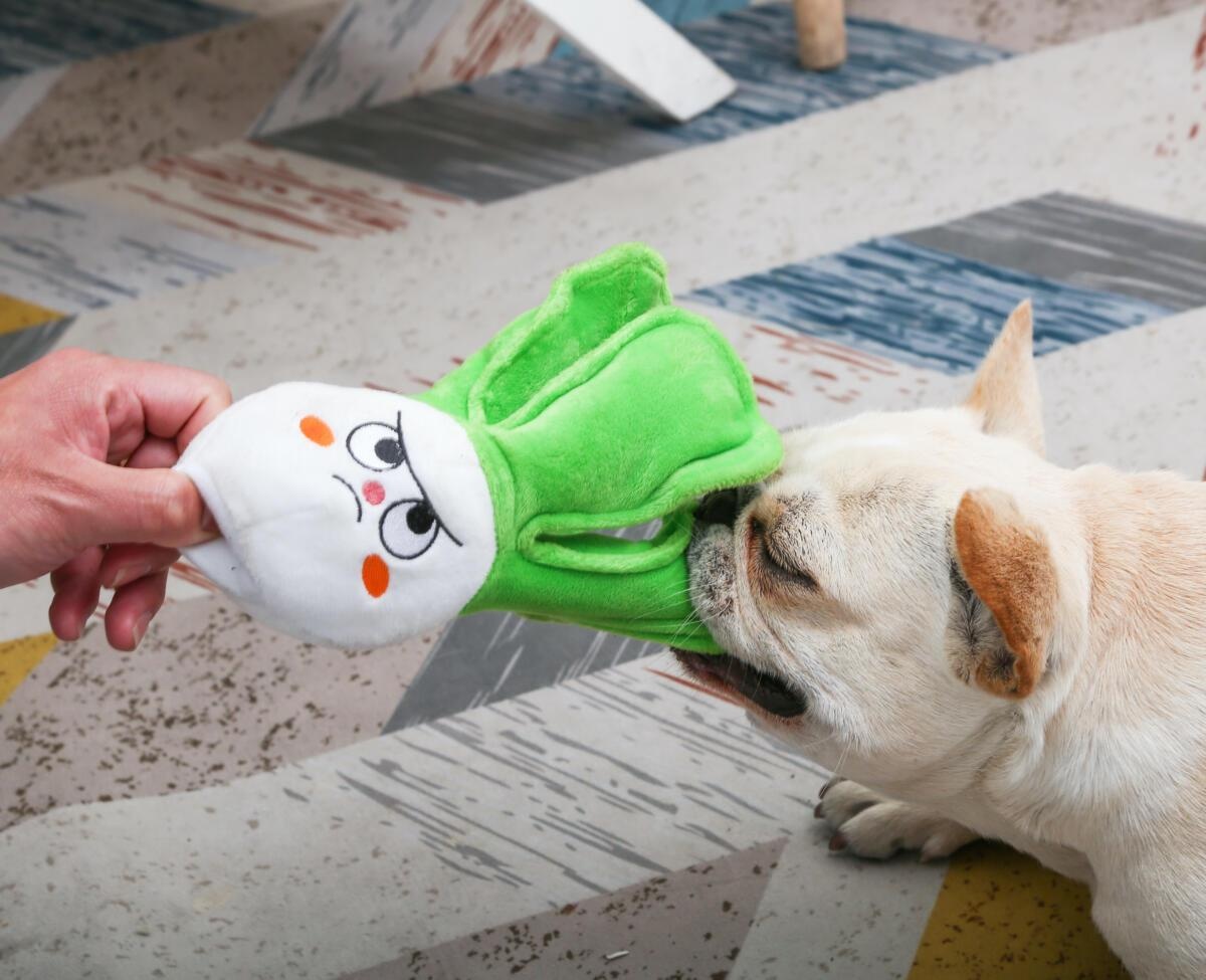 HugSmart Pet Bok Choy Dog Toy