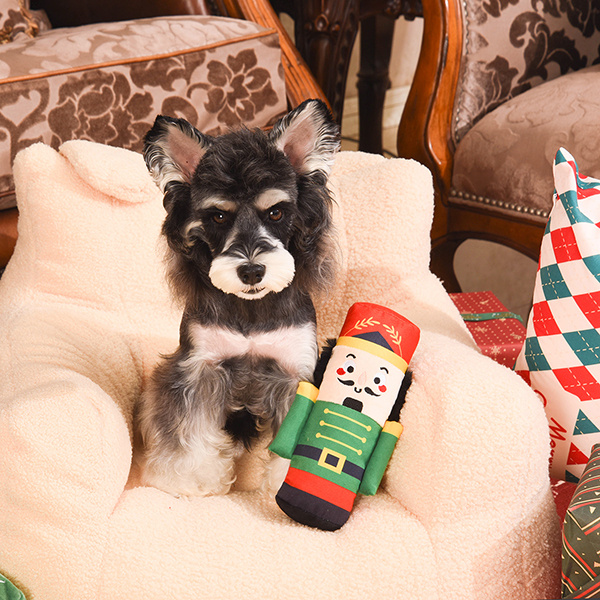 HugSmart Pet Nutcracker Dog Toy
