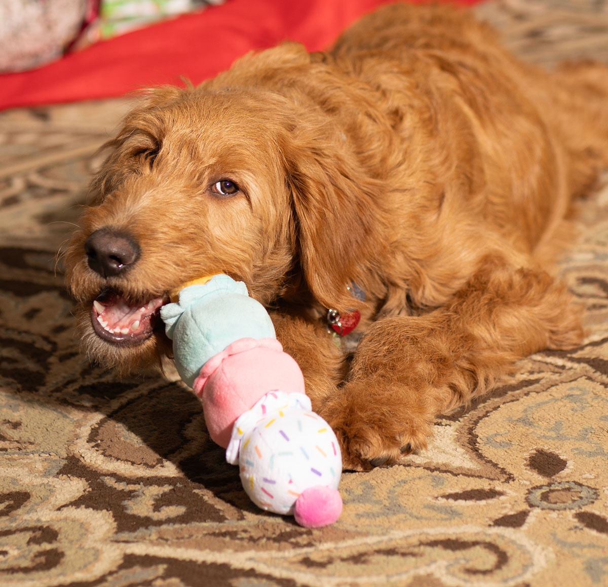 ThoozyPet 3-Scoop Ice Cream Cone Dog Toy