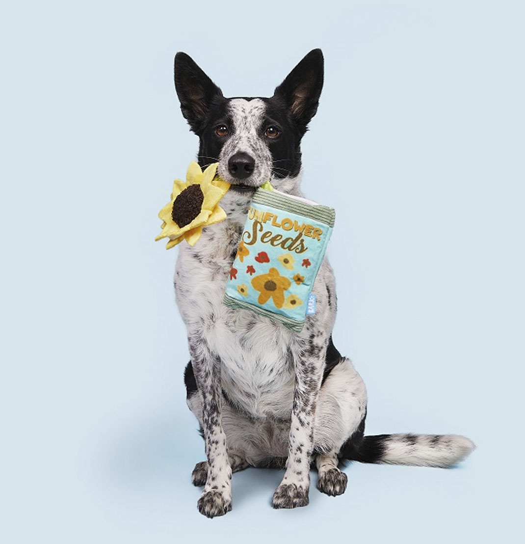 BARK Sunflower Seeds Dog Toy