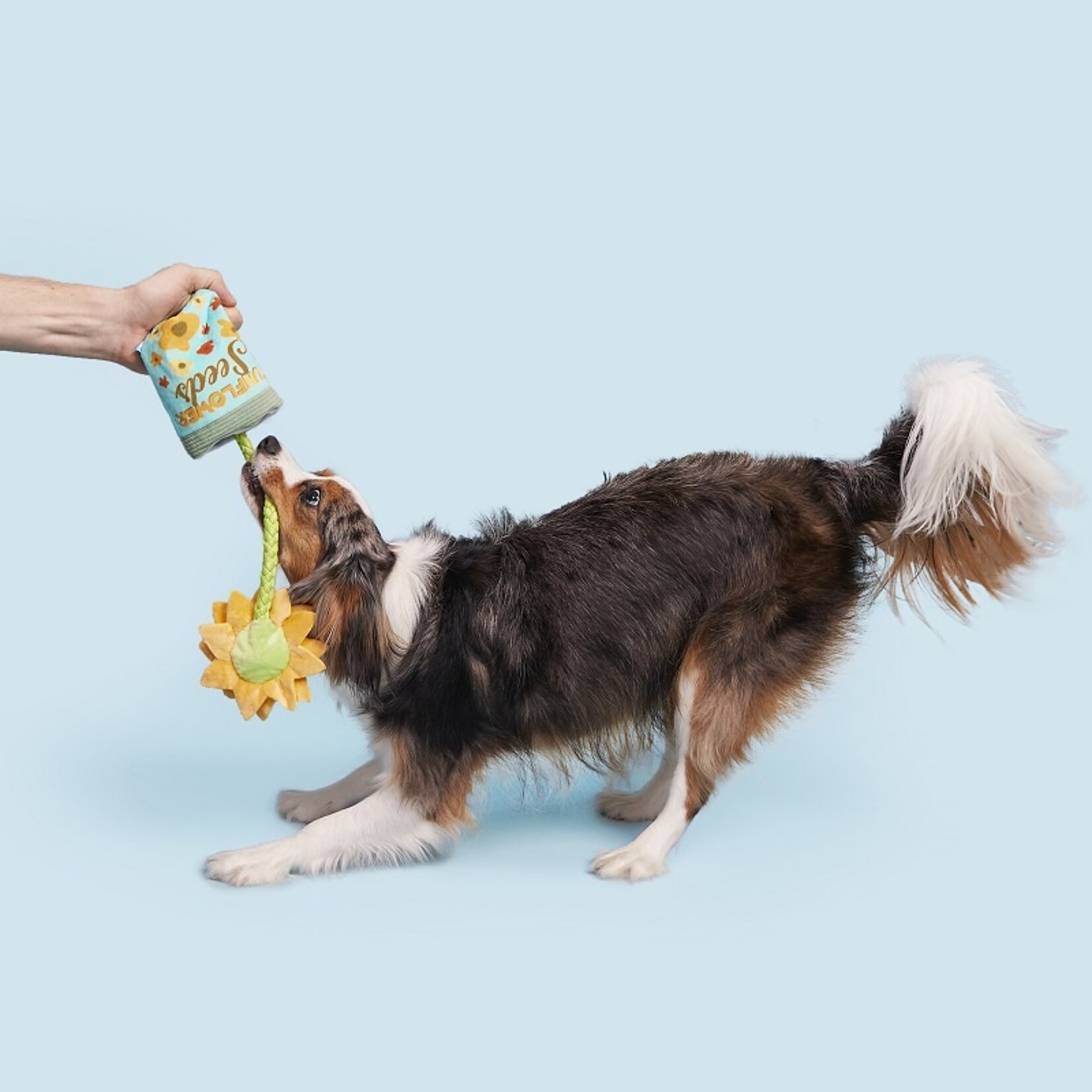 BARK Sunflower Seeds Dog Toy