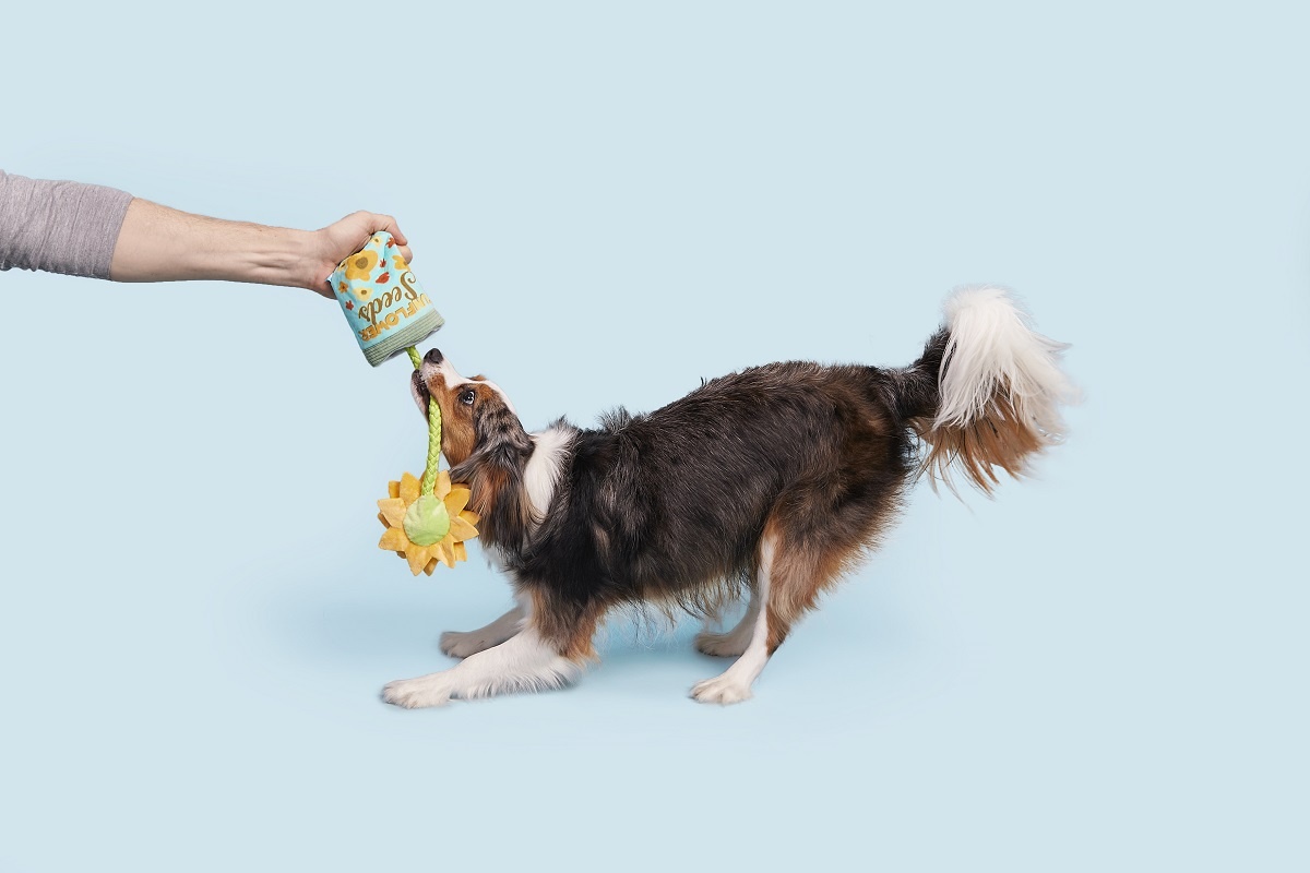 BARK Sunflower Seeds Dog Toy
