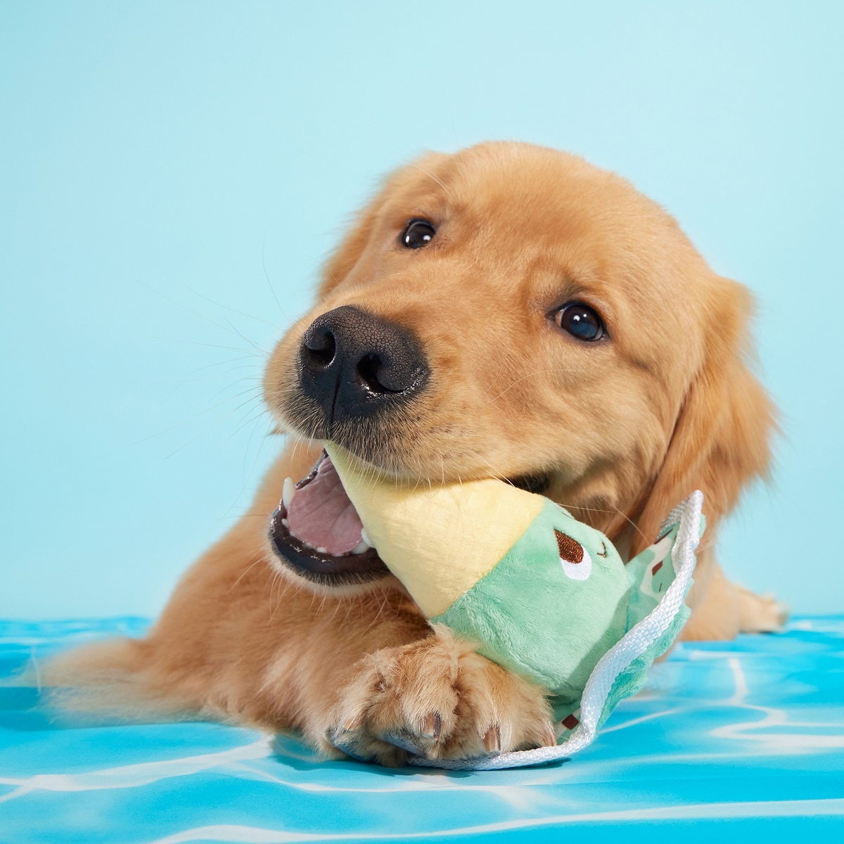 BARK Melted Mint Chip Dog Toy