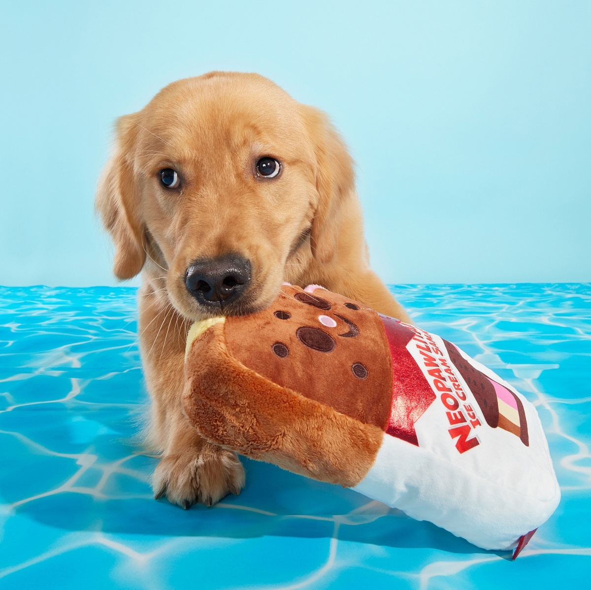 BARK Ice Cream Sandwich Dog Toy