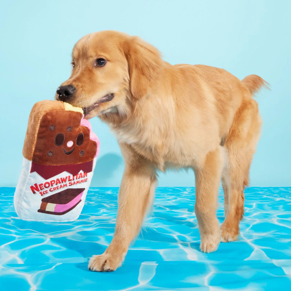 BARK Ice Cream Sandwich Dog Toy