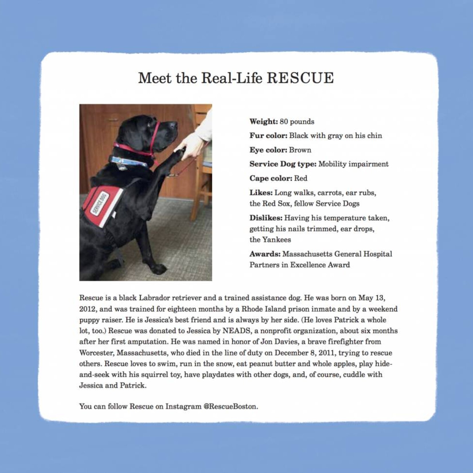 Book-Rescue & Jessica