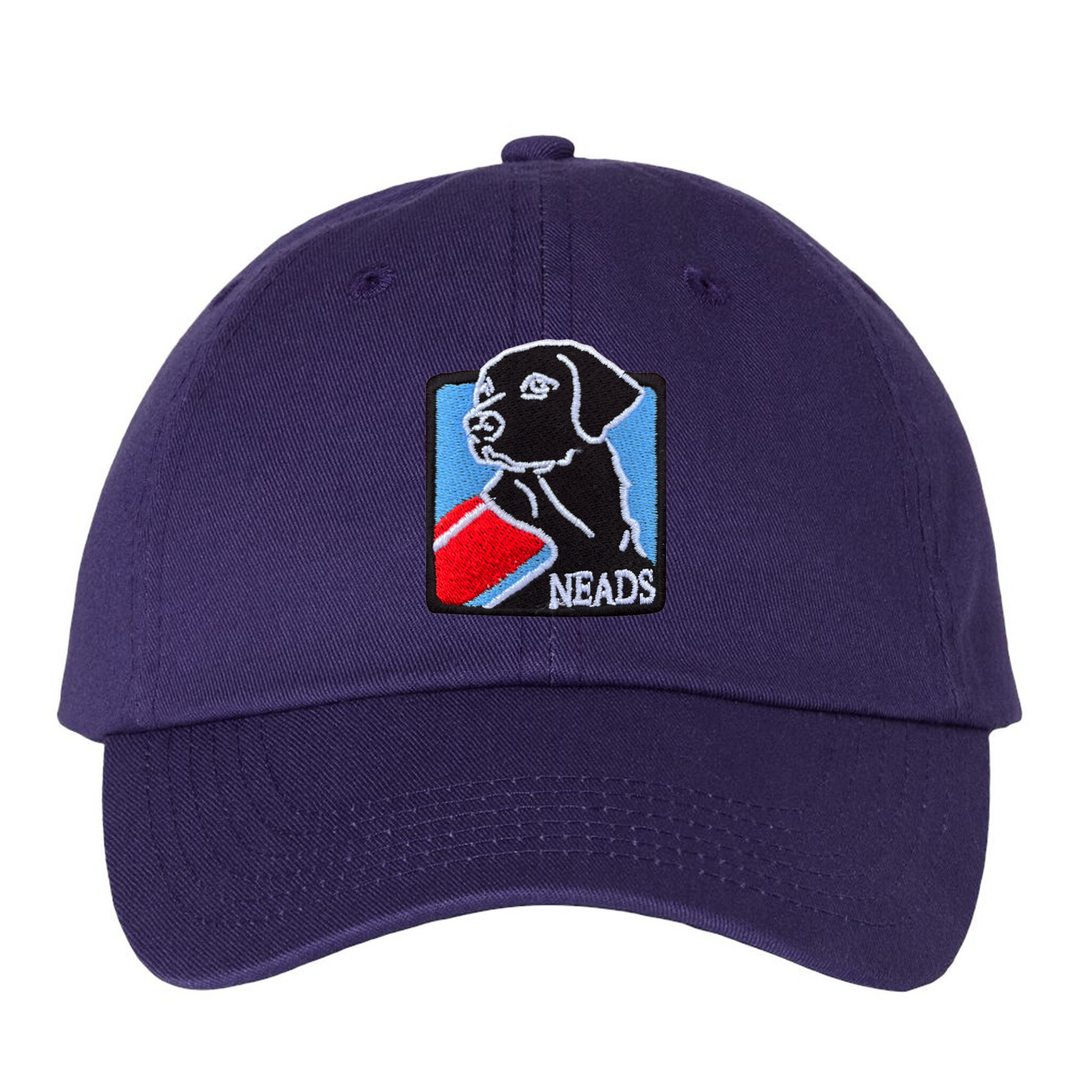 Baseball Hat- NEADS Logo