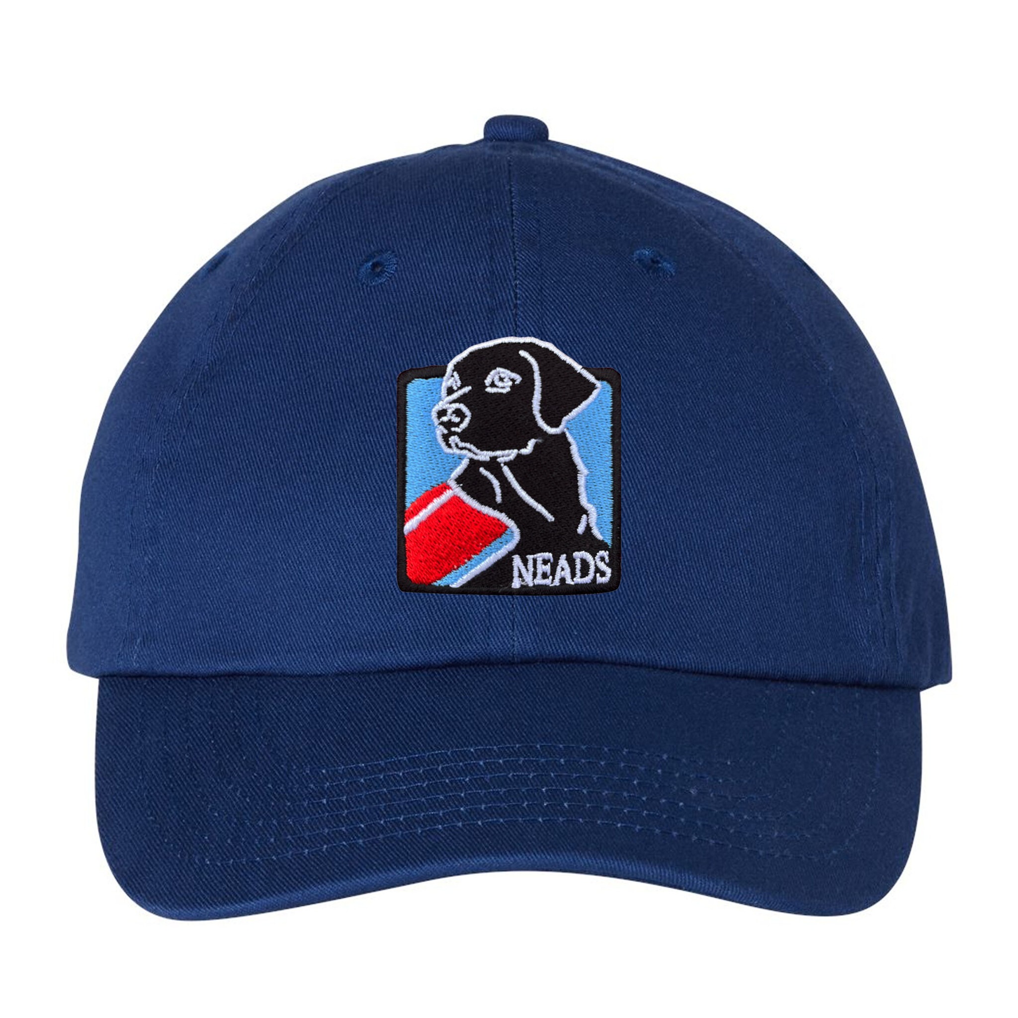 Baseball Hat- NEADS Logo