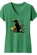 Women's V Neck T-Shirt