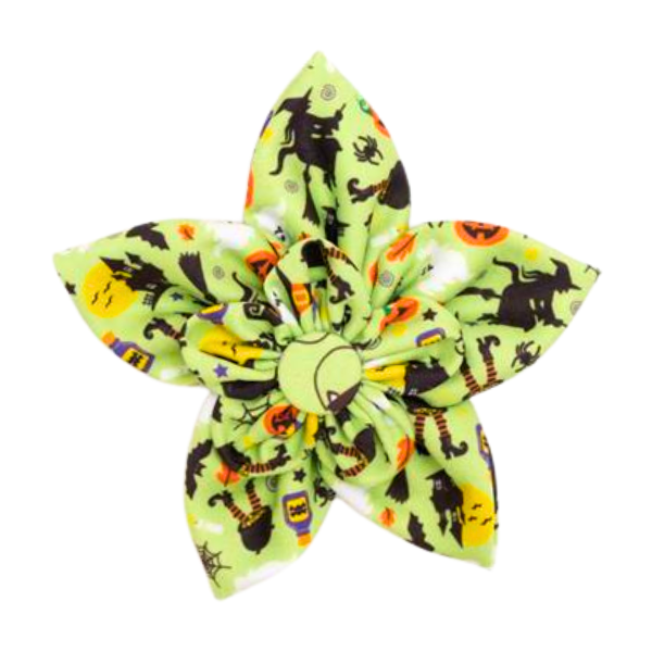 The Worthy Dog Halloween Flower Accessory