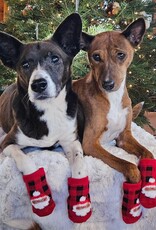 Pearhead Human and Dog Sock Set