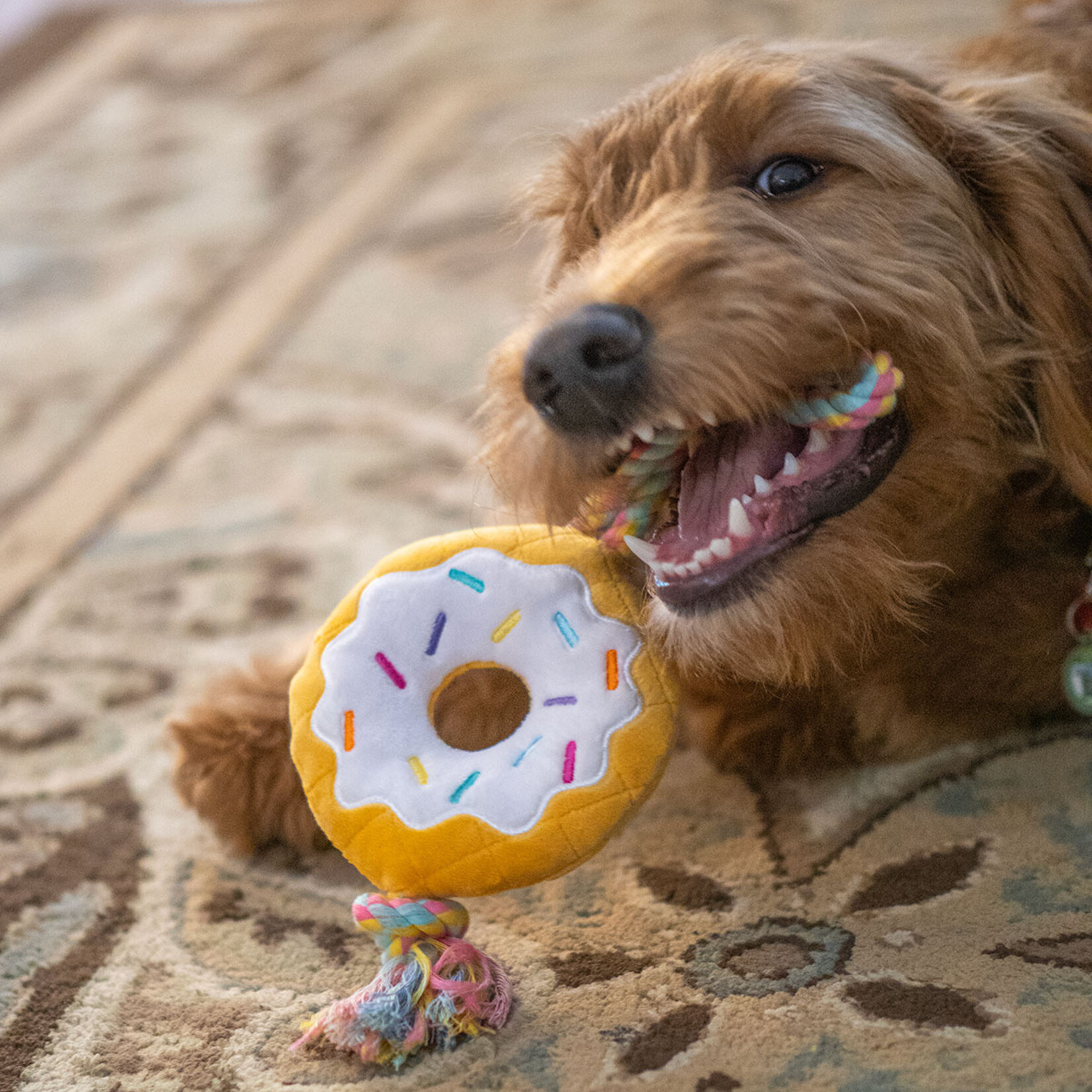 ThoozyPet Donut Rope Toy