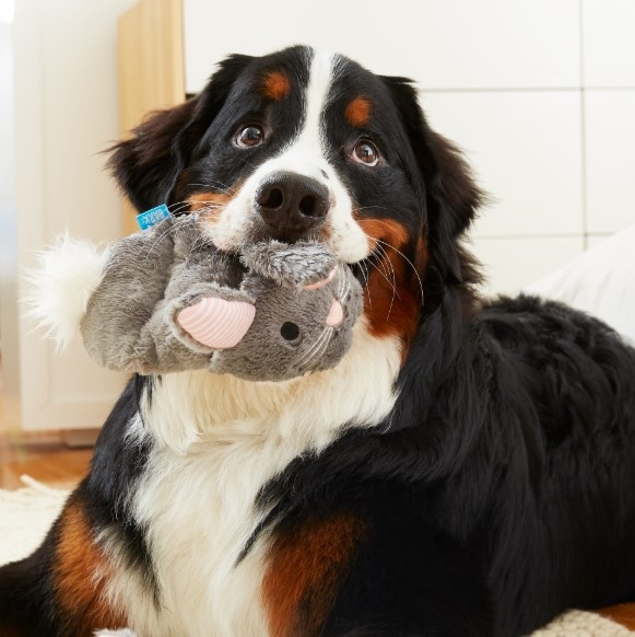 BARK Bunny Slippers Dog Toy