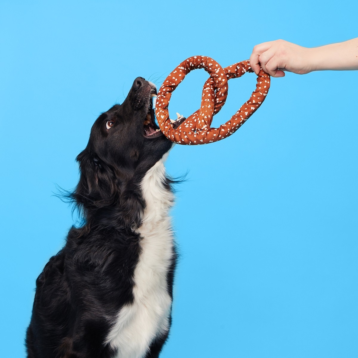 BARK Pretzel Dog Toy