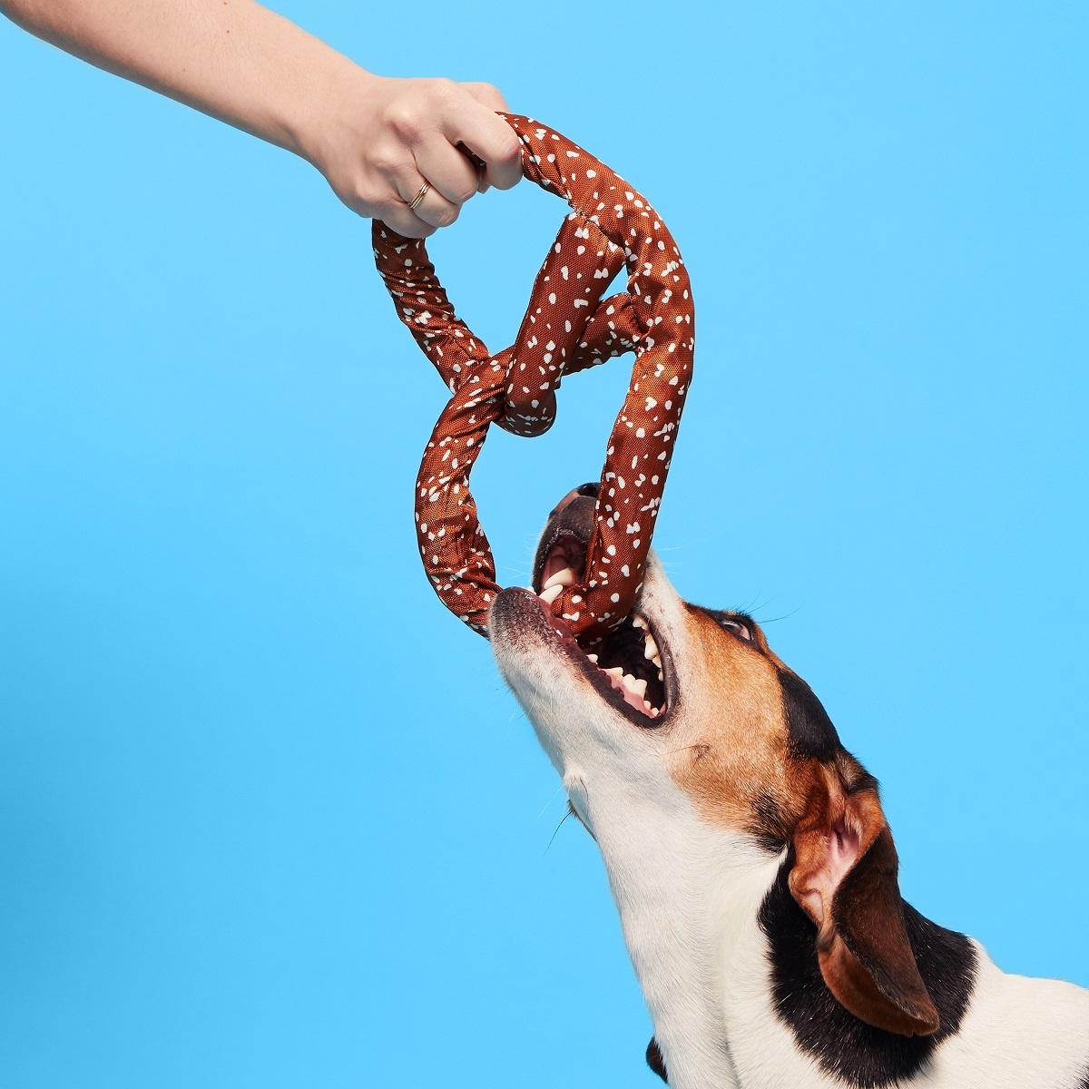 BARK Pretzel Dog Toy