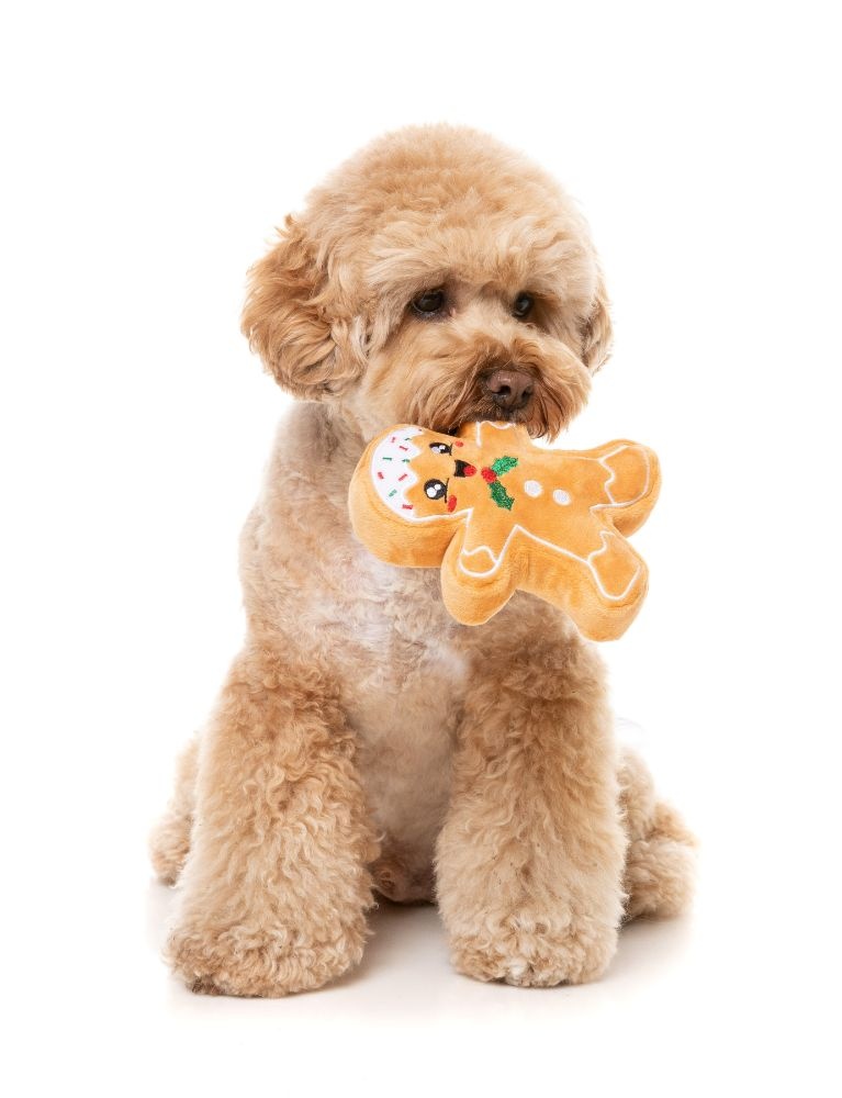 FuzzYard Fred the Gingerbread Dog Toy