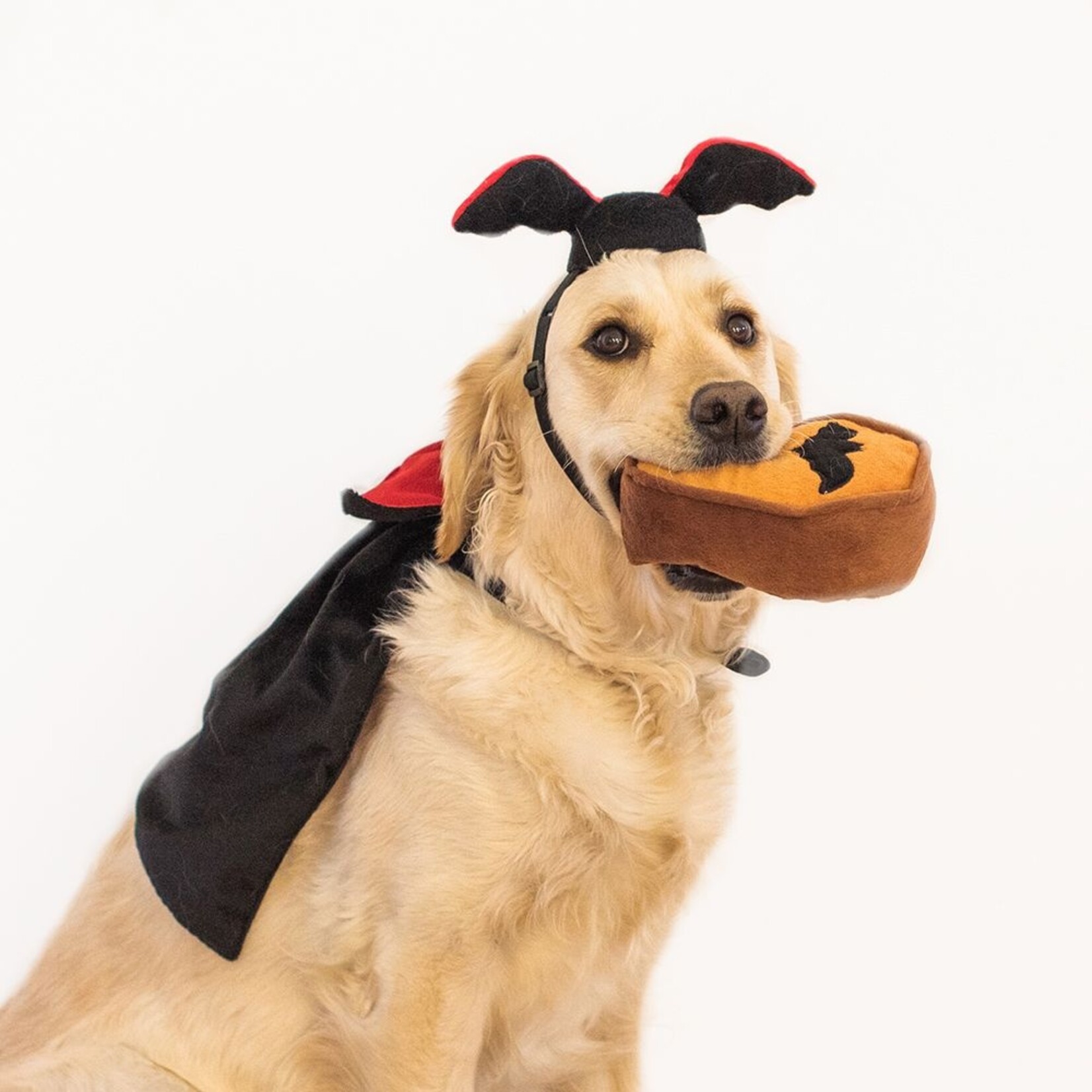 ZippyPaws Dog Costume Kit