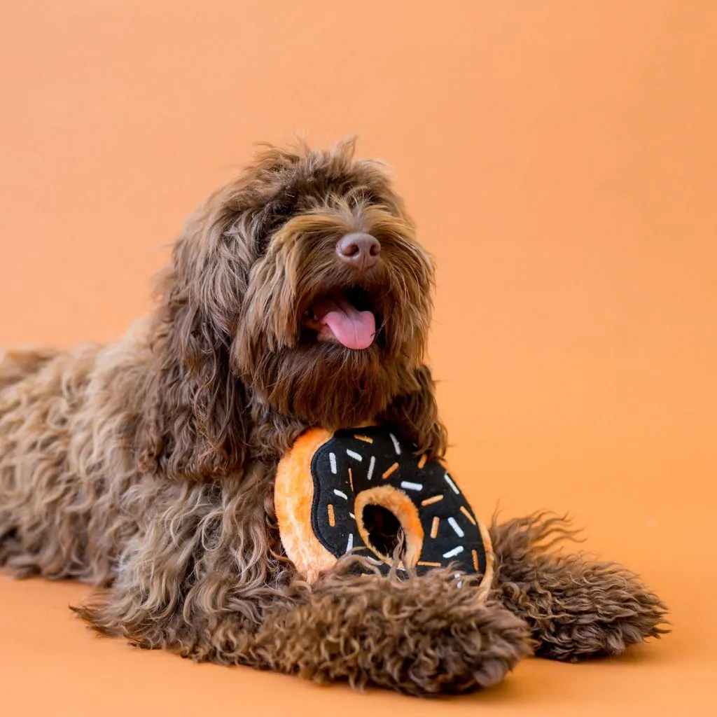 ZippyPaws Halloween Donut Toy