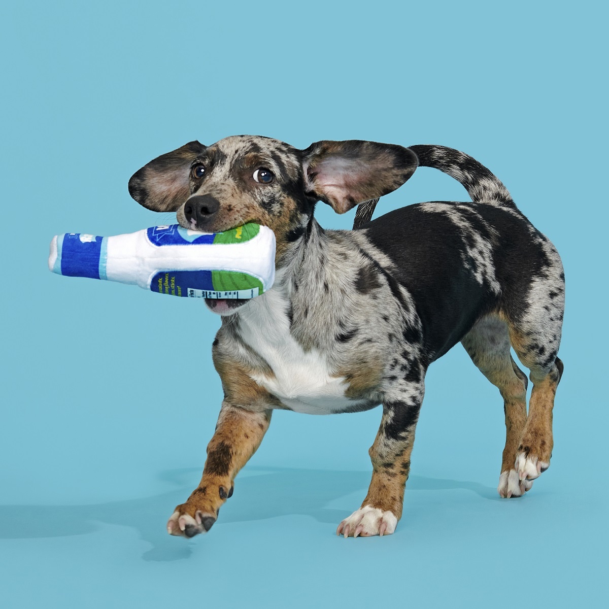 BARK Ranch Bottle Dog Toy