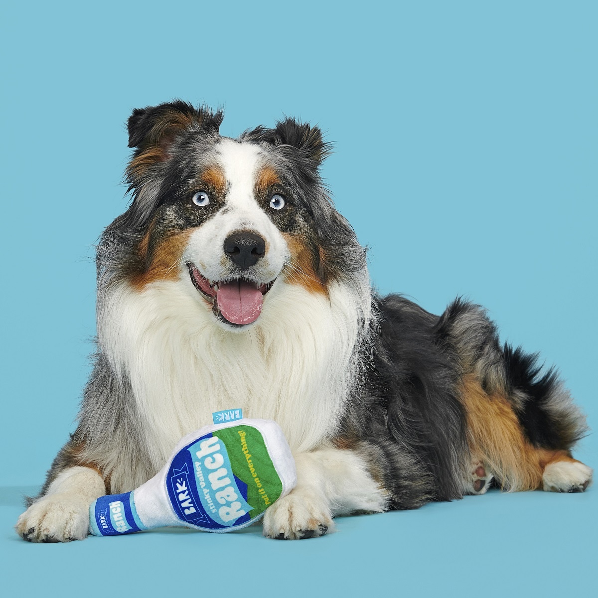 BARK Ranch Bottle Dog Toy