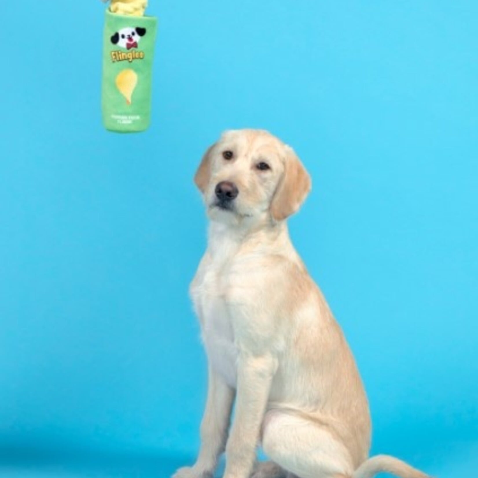BARK Pringles Can Dog Toy