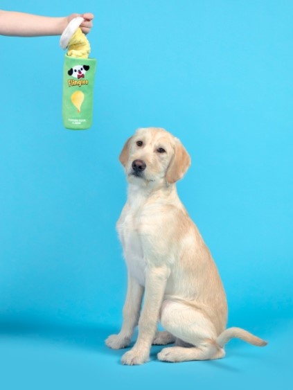 BARK Pringles Can Dog Toy