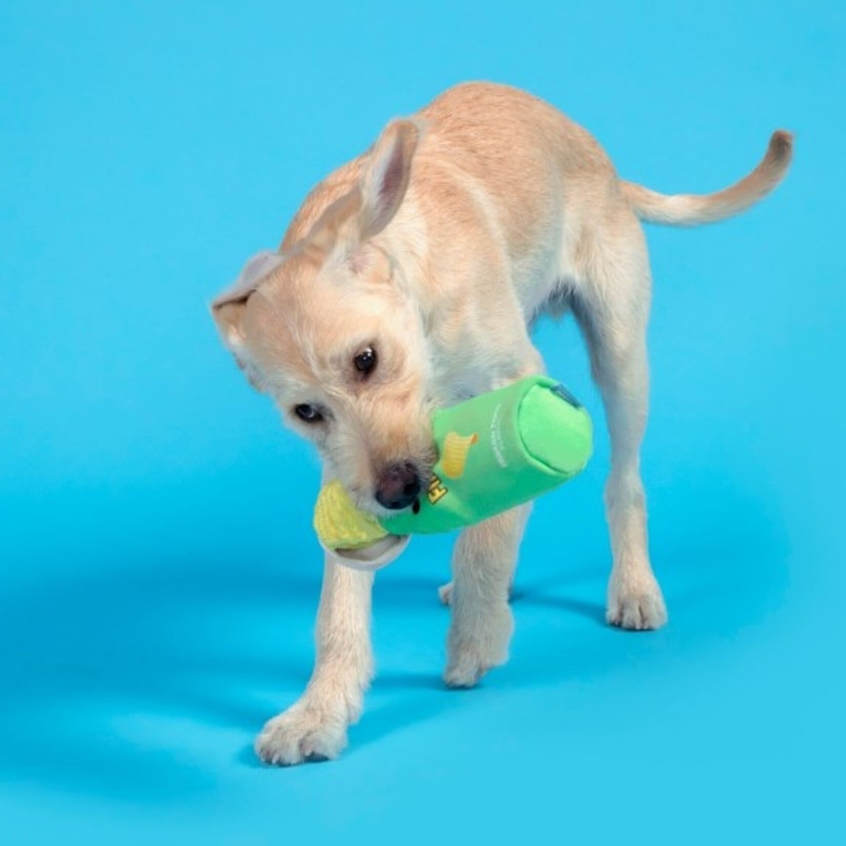 BARK Pringles Can Dog Toy