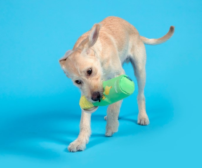 BARK Pringles Can Dog Toy