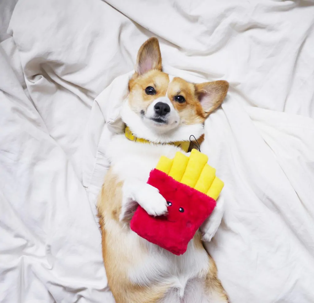 ZippyPaws Fries Dog Toy