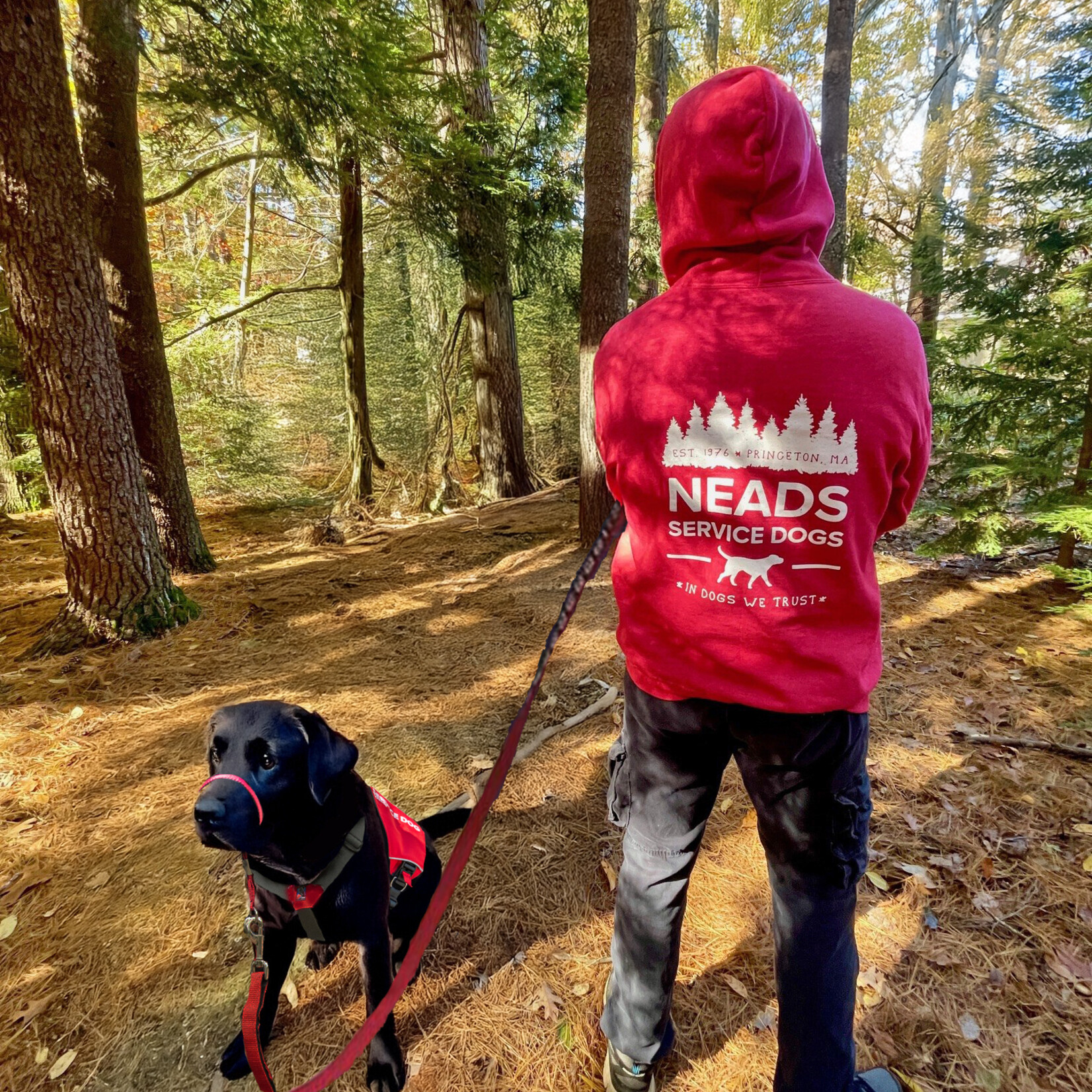 Port & Company 50th Anniversary Zip Hoodie