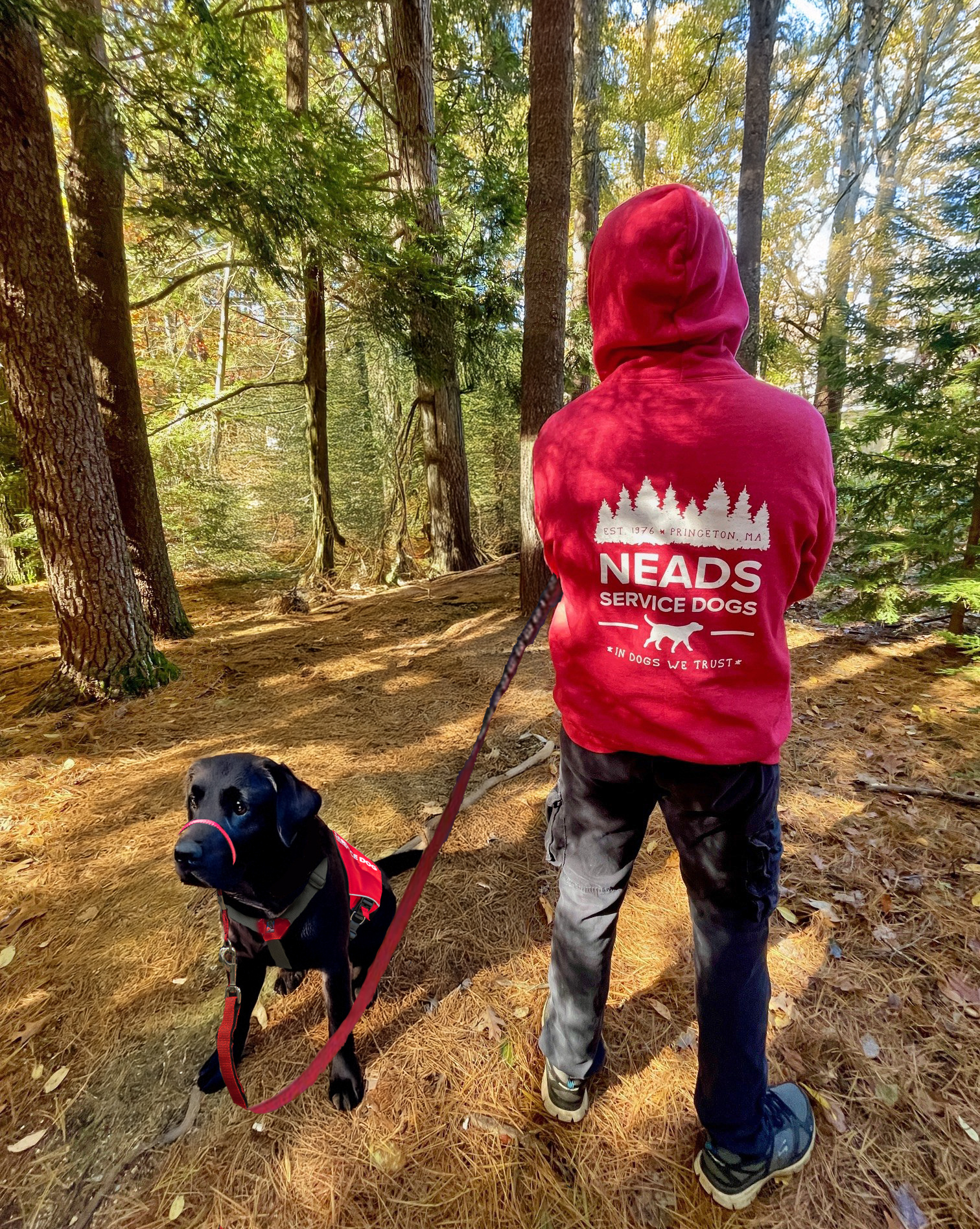 Port & Company 50th Anniversary Zip Hoodie