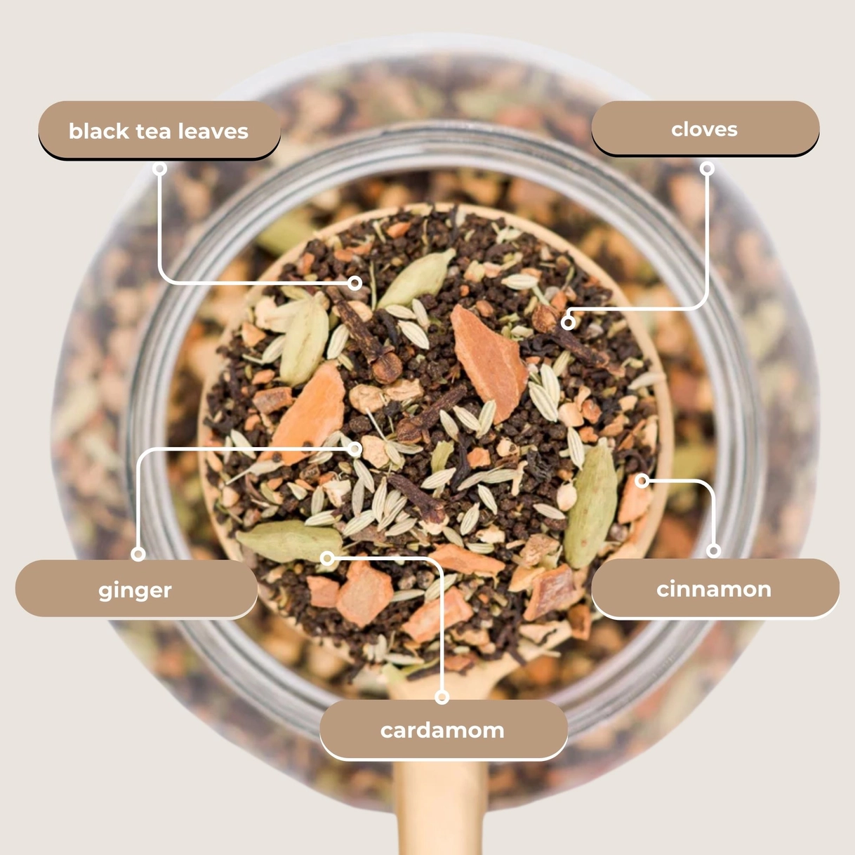 Tea with Tae Tea Gift Tube-Bombay Masala Chai