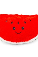 ThoozyPet Watermelon Dog Toy