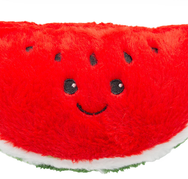 ThoozyPet Watermelon Dog Toy