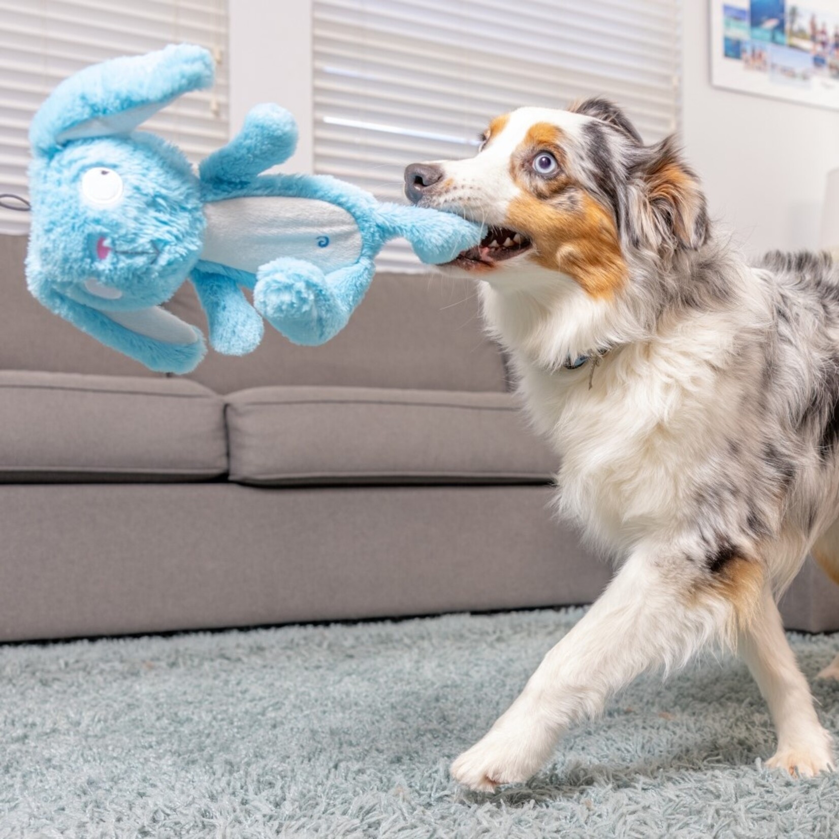 Huxley & Kent Bunny Dog Toy