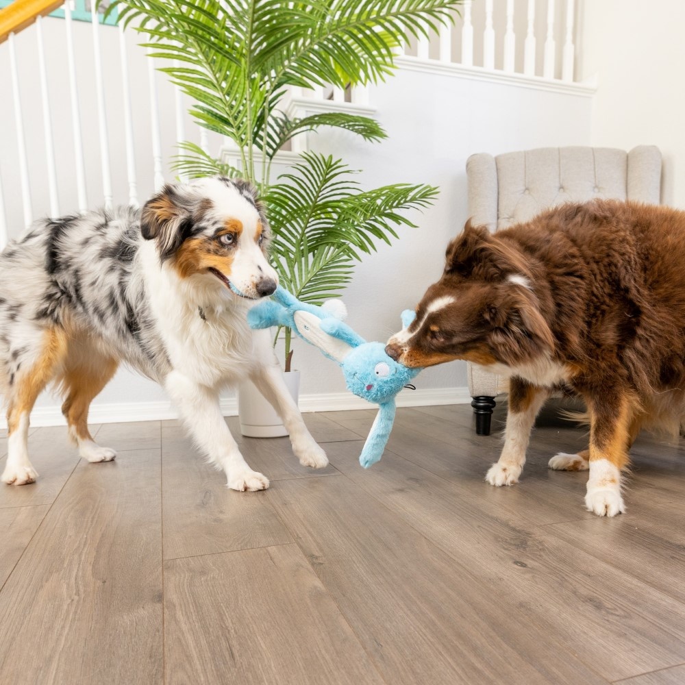 Huxley & Kent Bunny Dog Toy